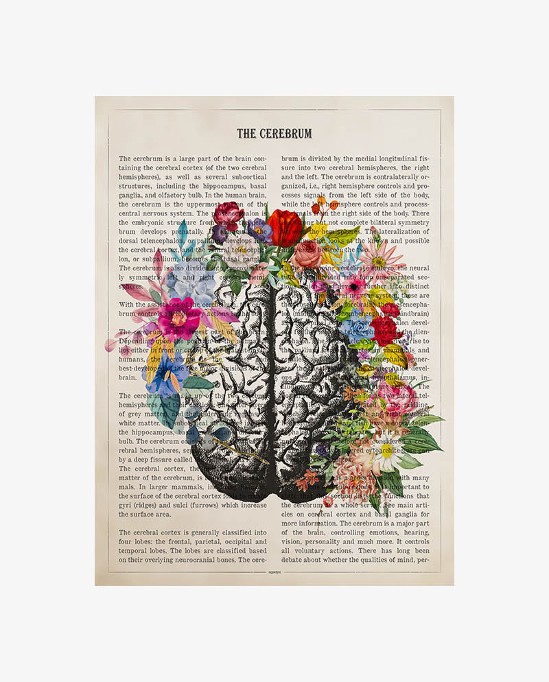 Brain Anatomy Flower Print