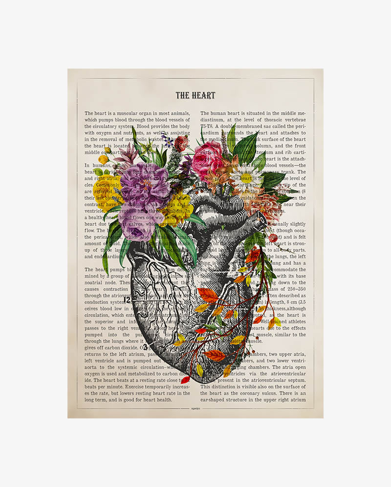 Heart Anatomy Print