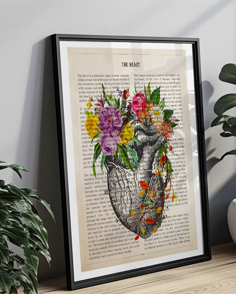 Heart Anatomy Print