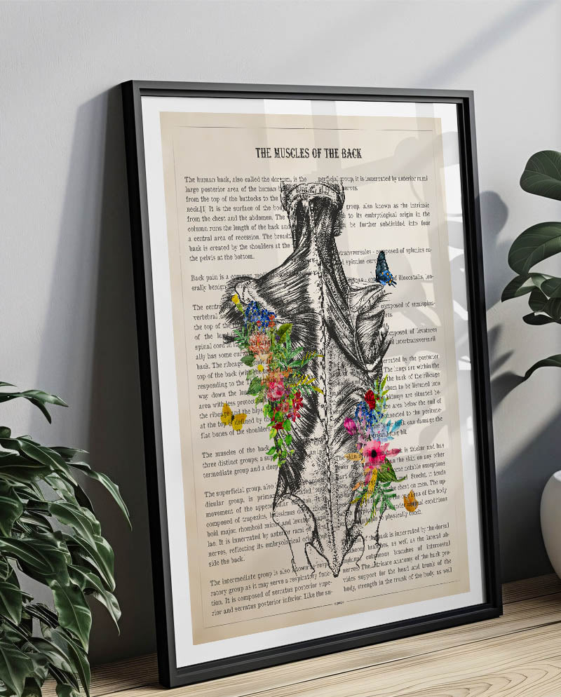 Muscles of the Back Anatomy Print