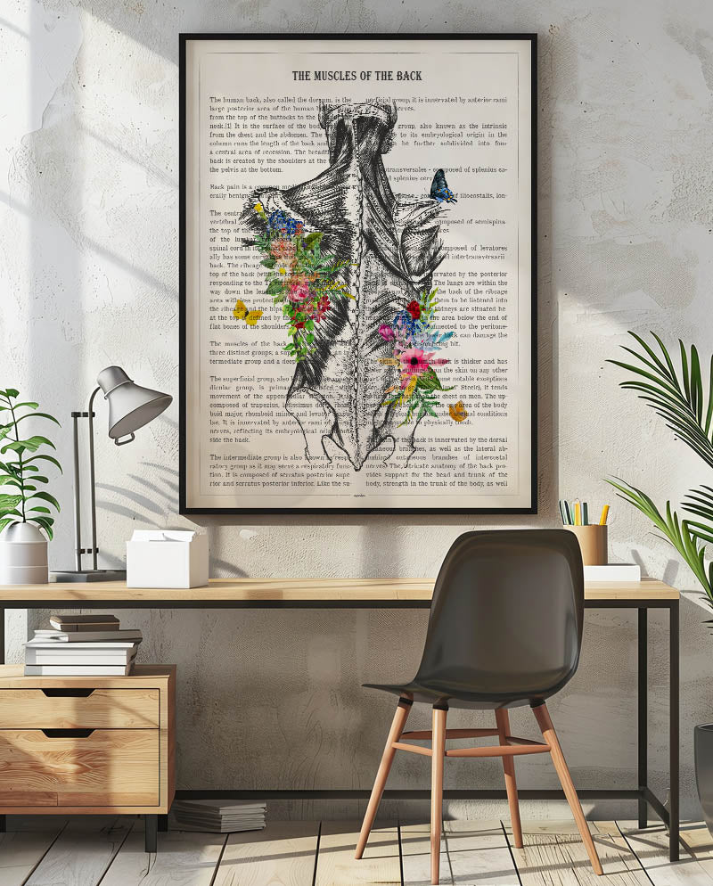 Muscles of the Back Anatomy Print
