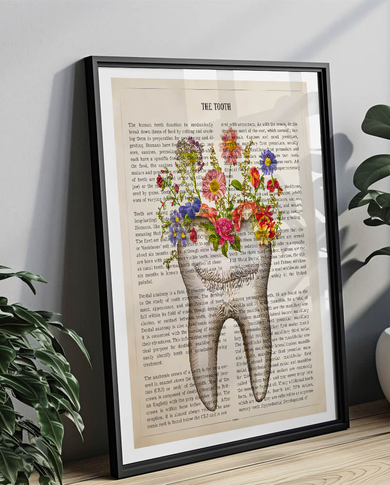 Tooth Anatomy Print