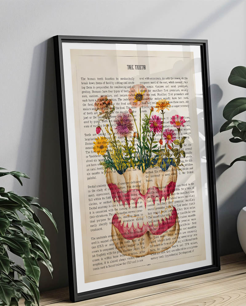 Teeth Anatomy Print