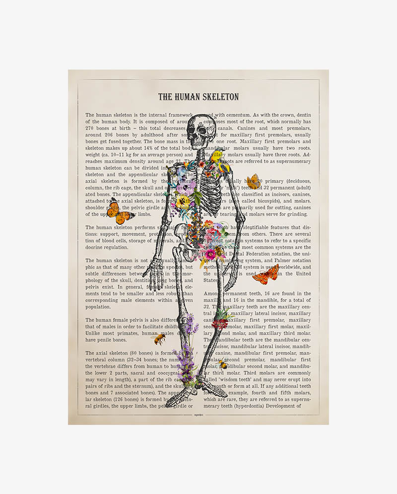 Human Skeleton Anatomy Print