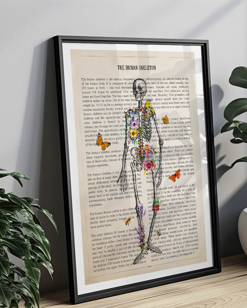 Human Skeleton Anatomy Print