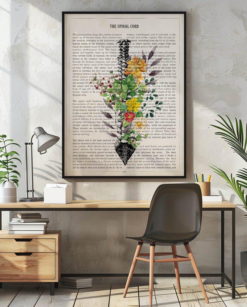 Spinal Cord Anatomy Print