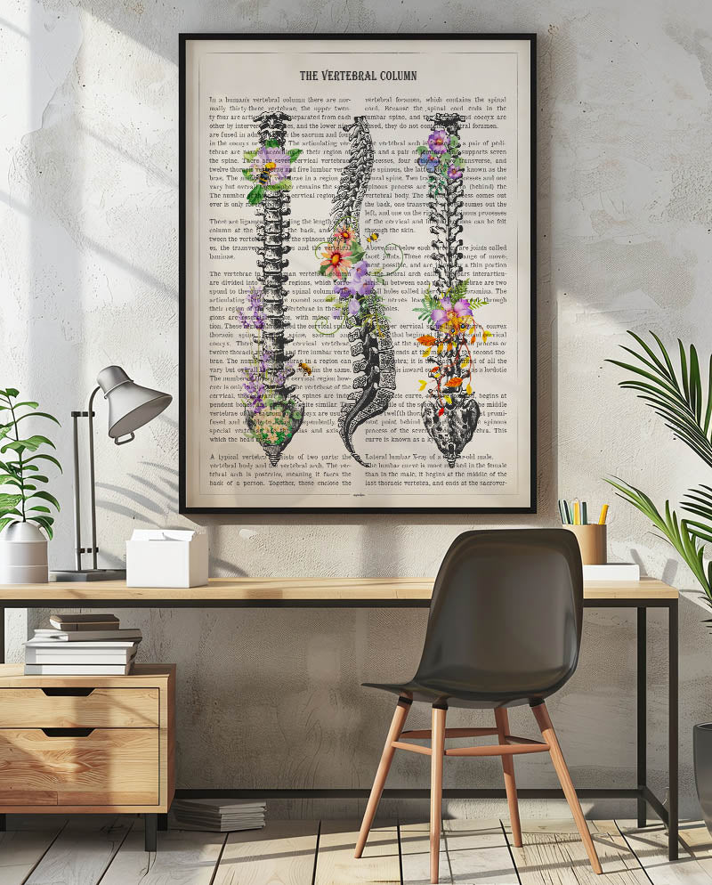 Vertebral Column Anatomy Print