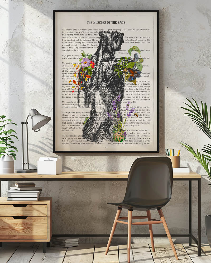 Muscles Of The Back Anatomy Print