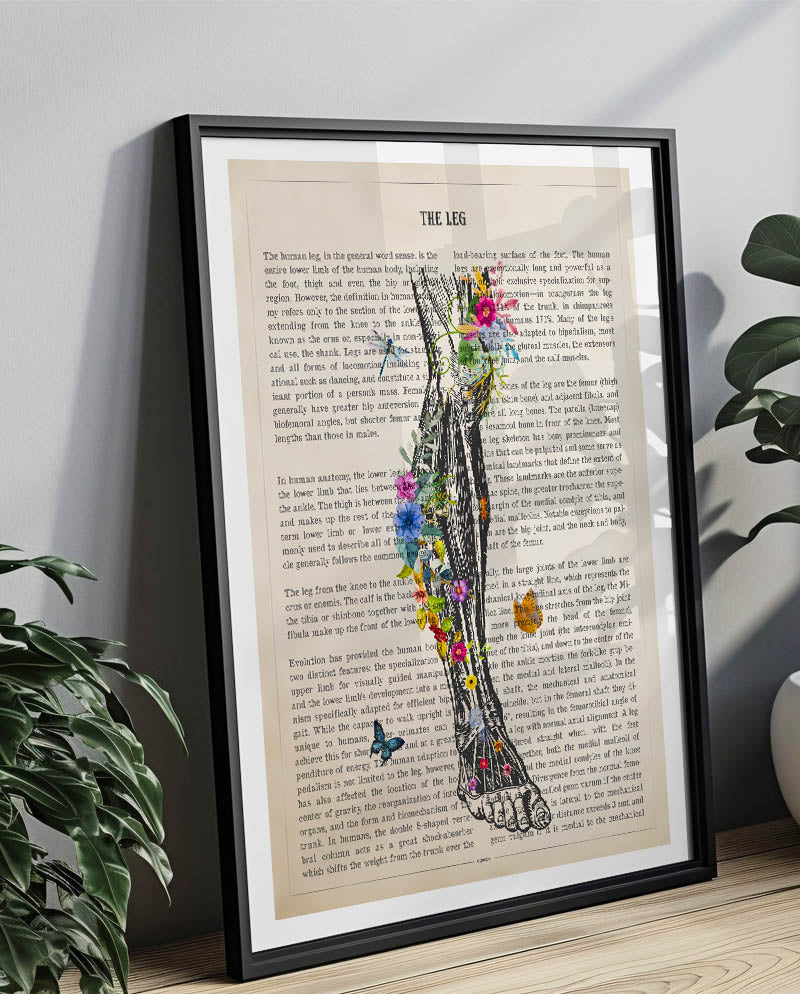 Leg Anatomy Print