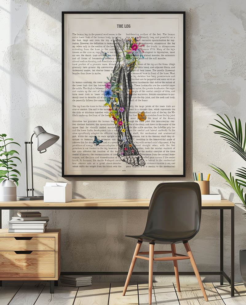 Leg Anatomy Print