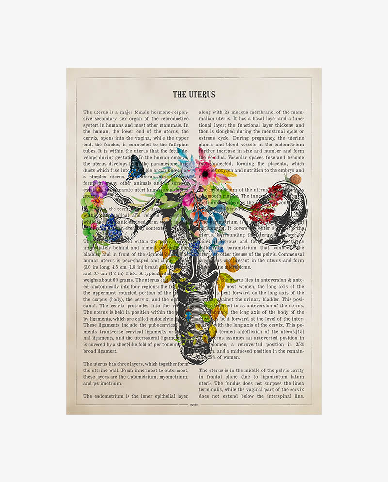 Uterus Anatomy Print