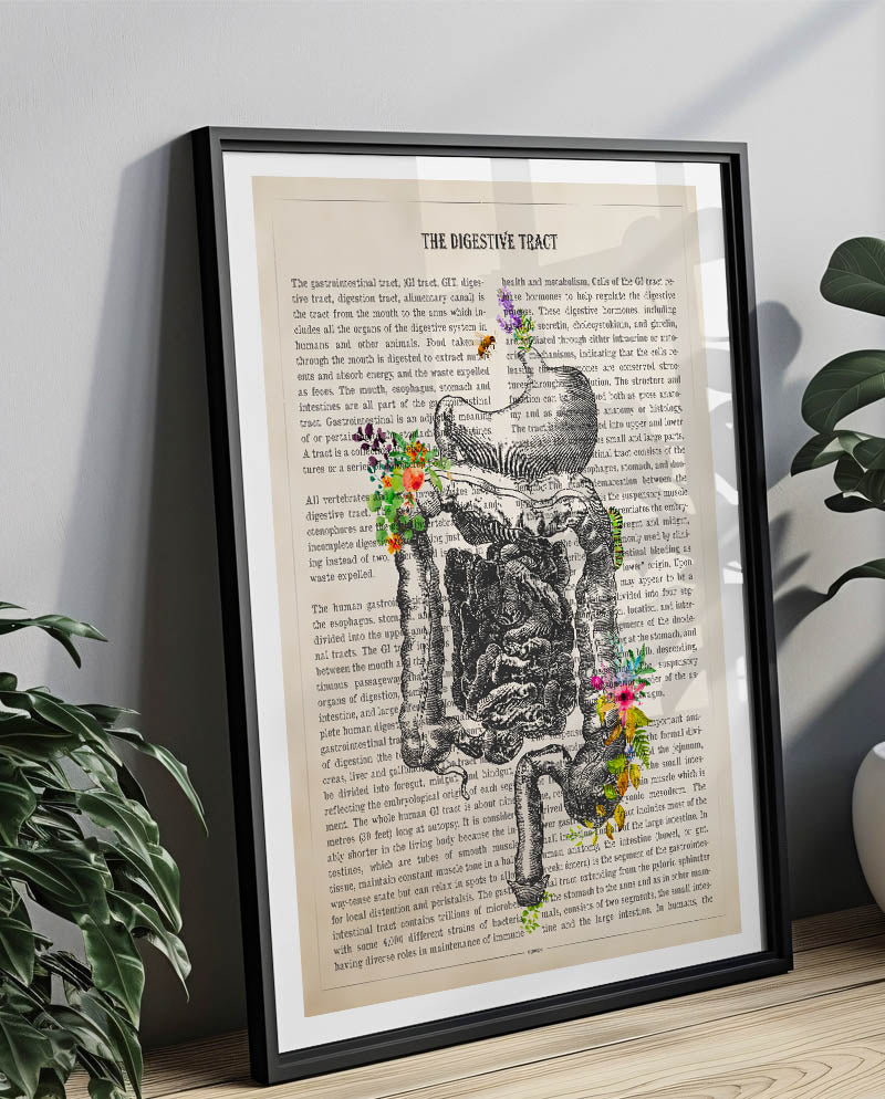 Digestive Tract Anatomy Print