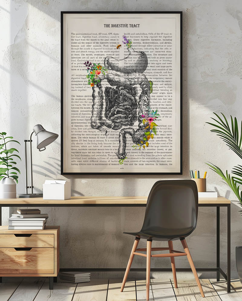 Digestive Tract Anatomy Print
