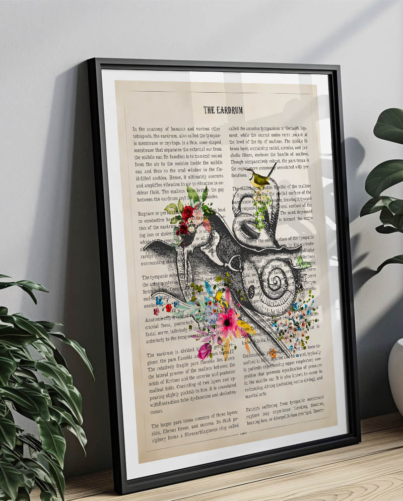 Eardrum Anatomy Print