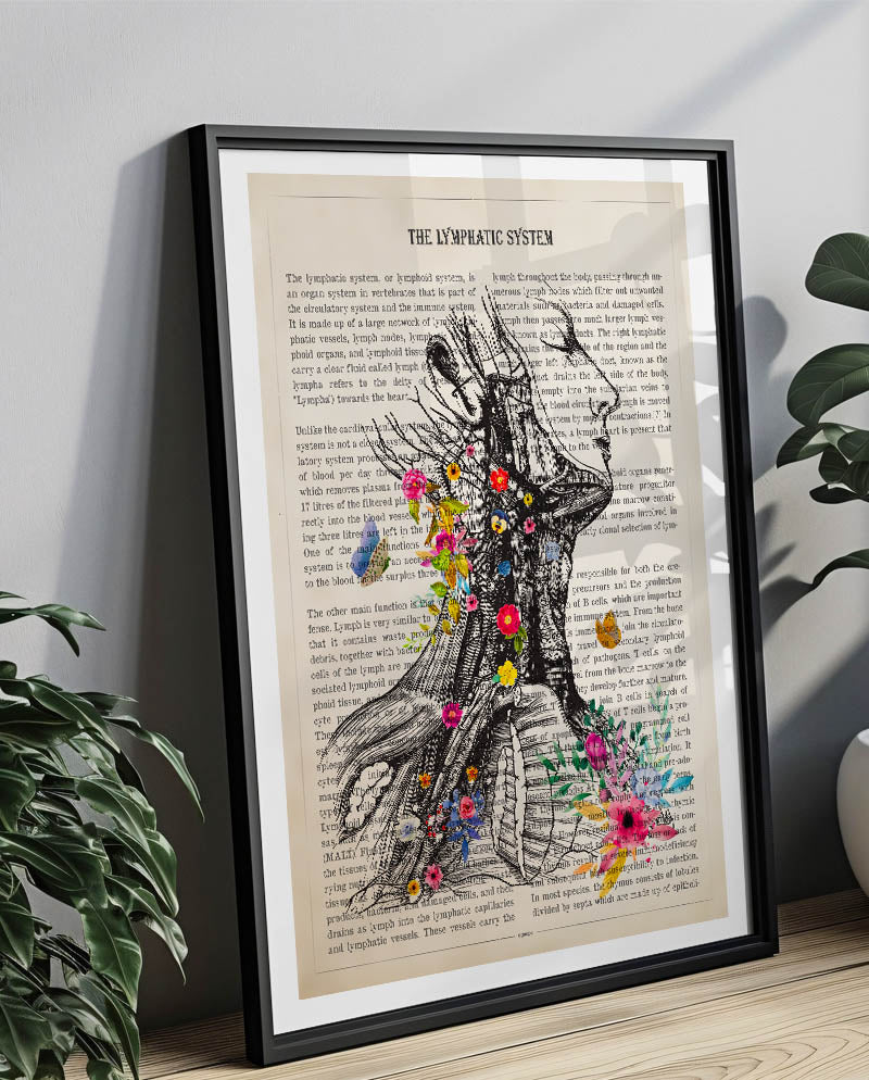Lymphatic System Anatomy Print