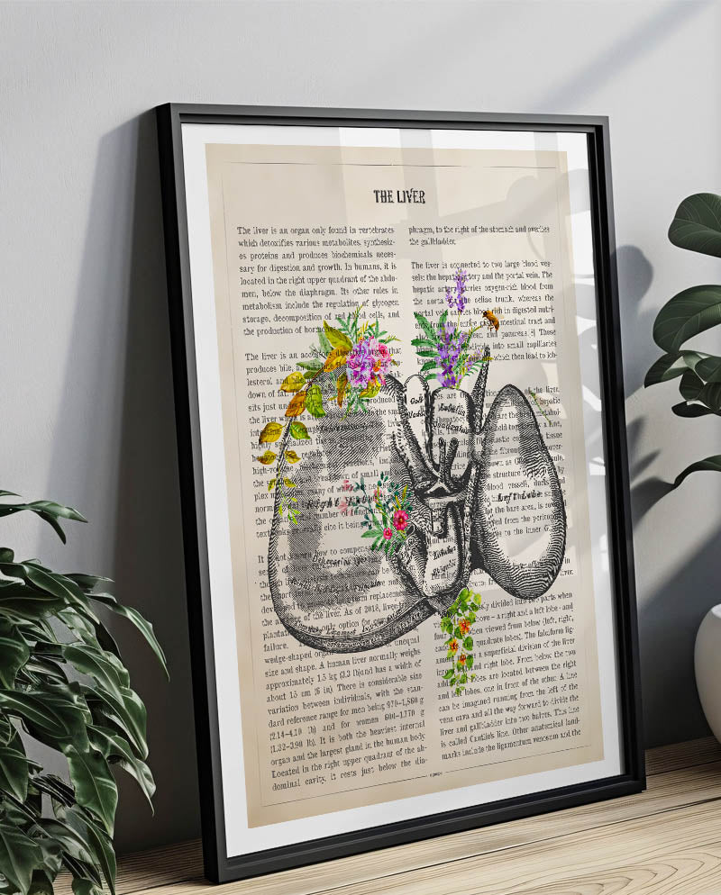 Liver Anatomy Print