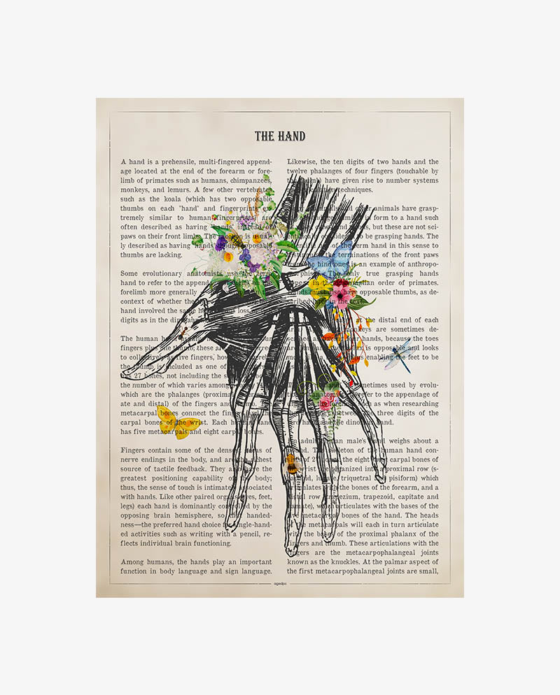 Hand Anatomy Print