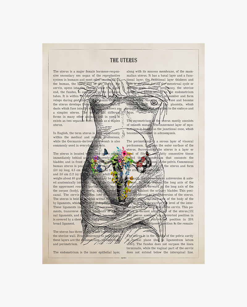 Uterus Anatomy Print