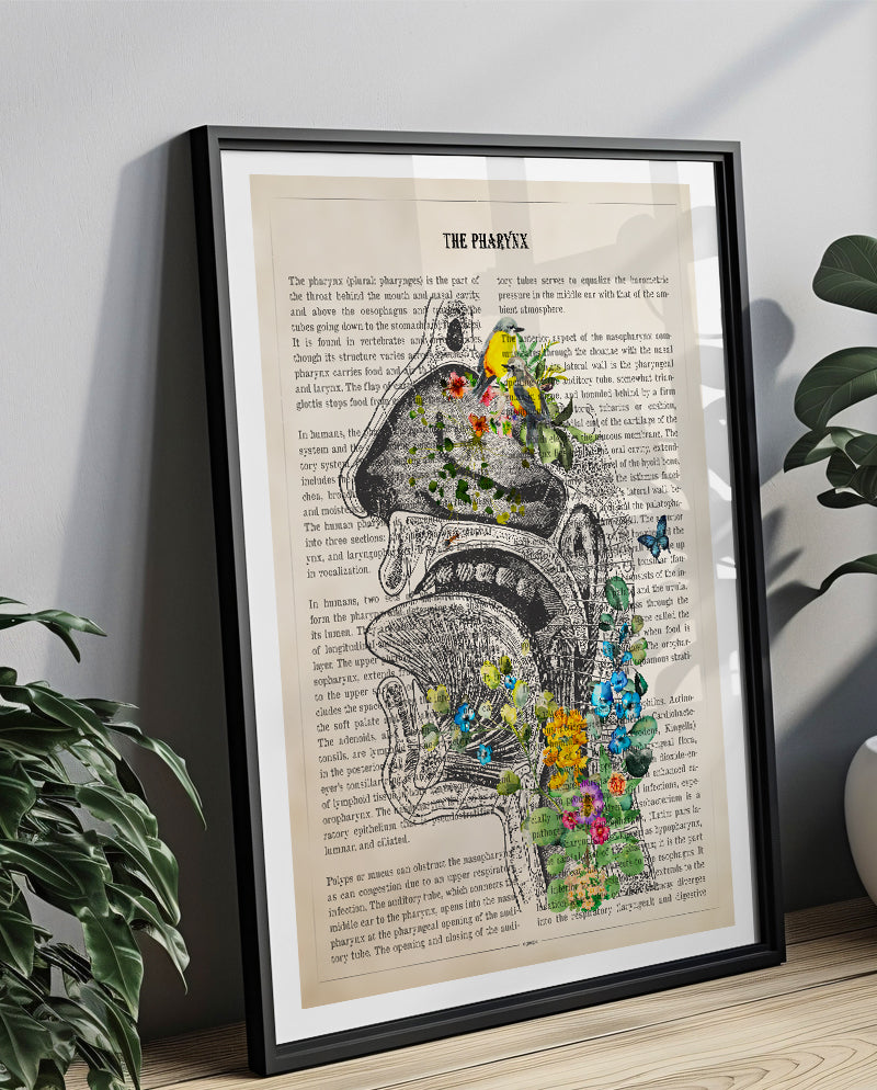 Pharynx Anatomy Print