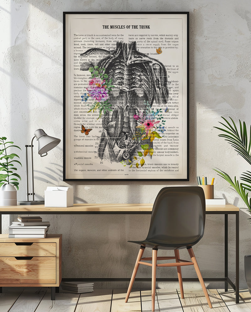 Muscles of the Trunk Anatomy Print