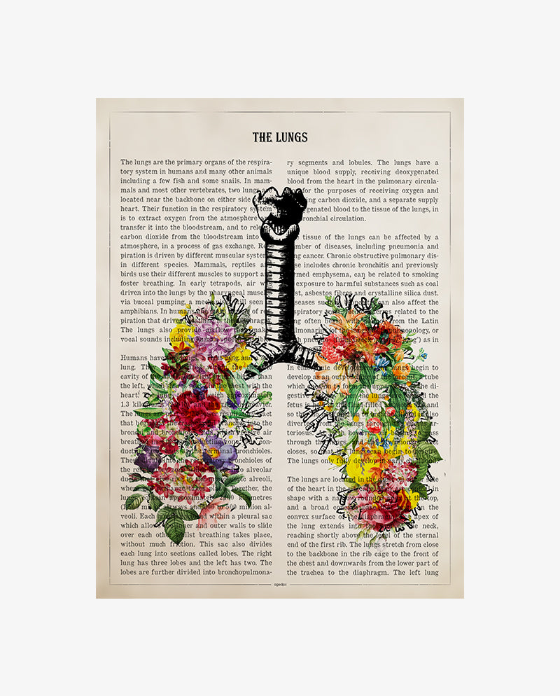 Lungs Anatomy Print