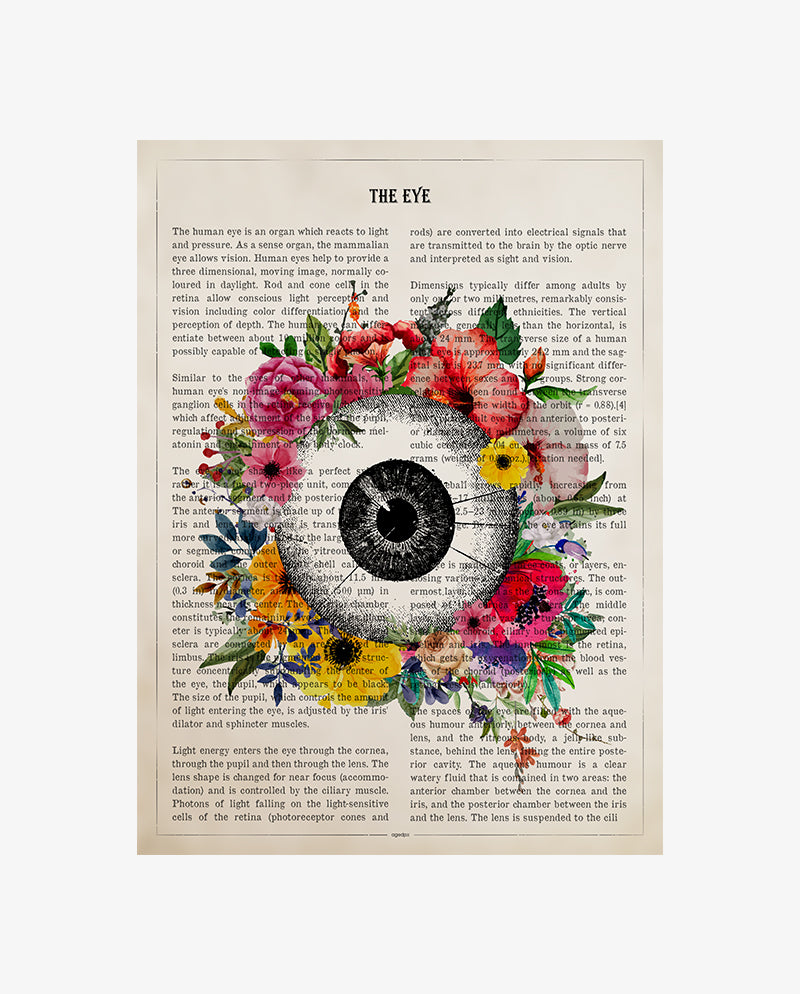 Eye Anatomy Print