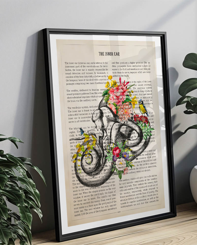 Inner Ear Anatomy Print