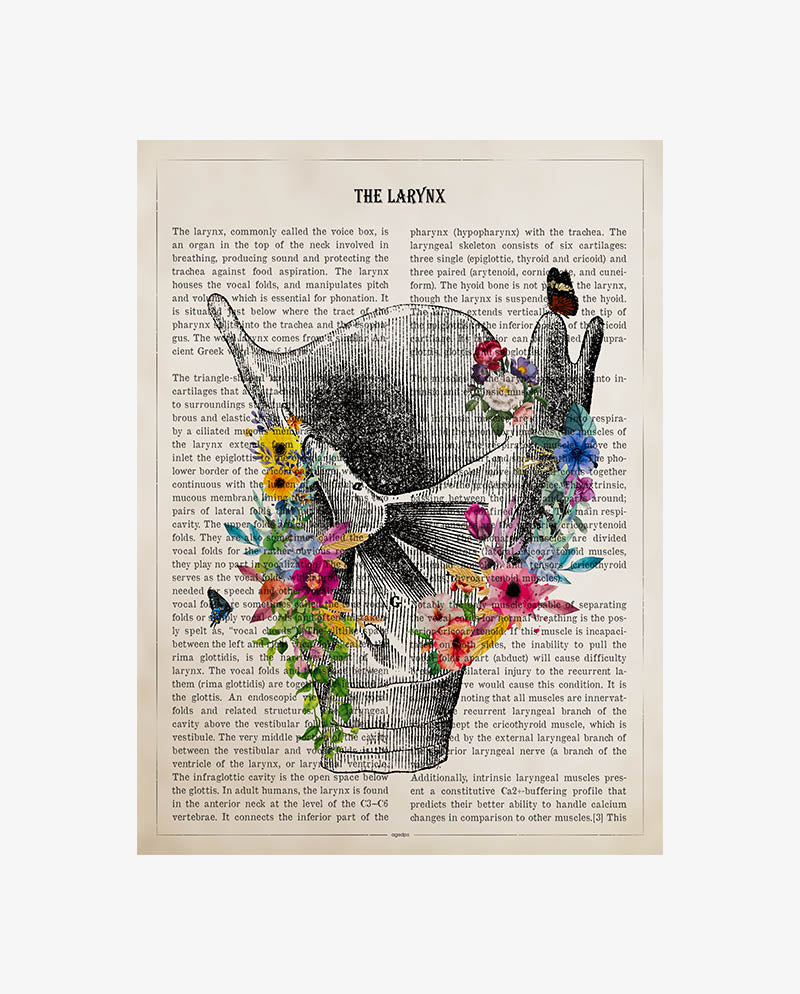 Larynx Anatomy Print