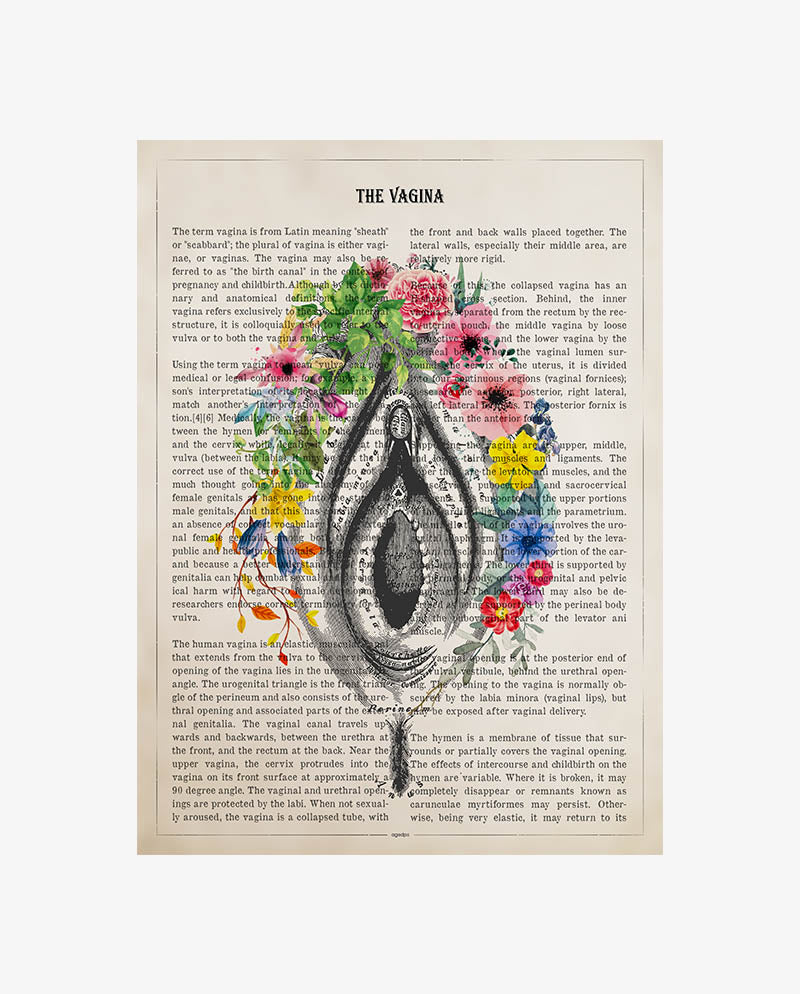 Vulva Anatomy Print