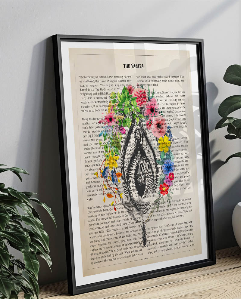 Vulva Anatomy Print