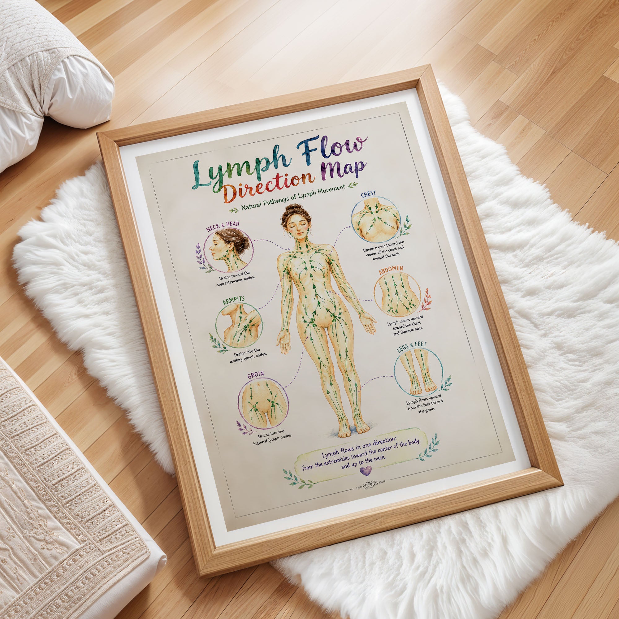 Lymph Flow Direction Map Poster Lymphatic Drainage Anatomy Chart