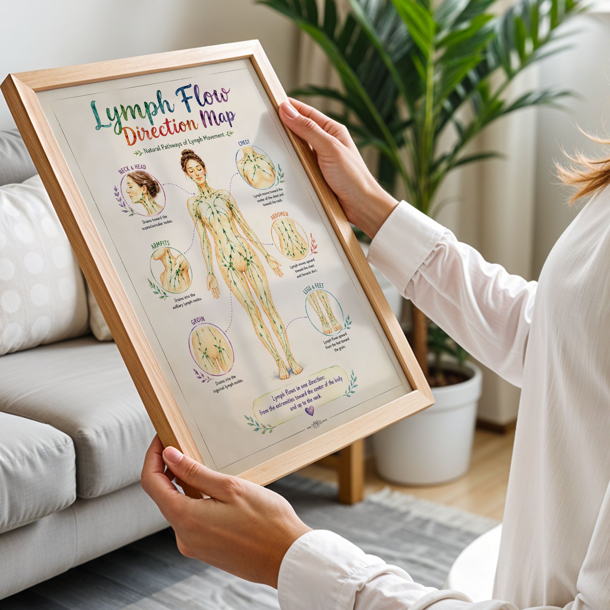 Lymph Flow Direction Map Poster Lymphatic Drainage Anatomy Chart