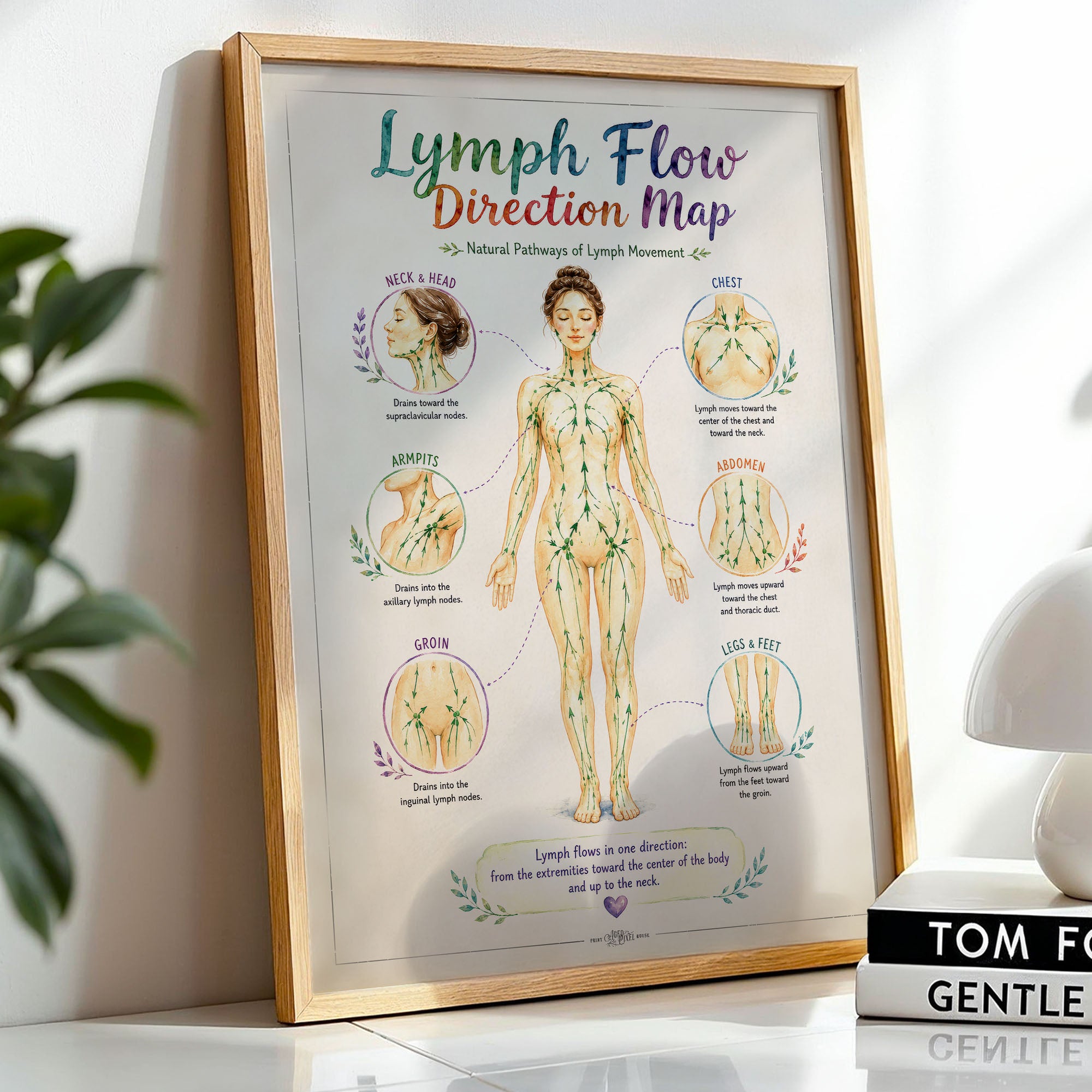 Lymph Flow Direction Map Poster Lymphatic Drainage Anatomy Chart