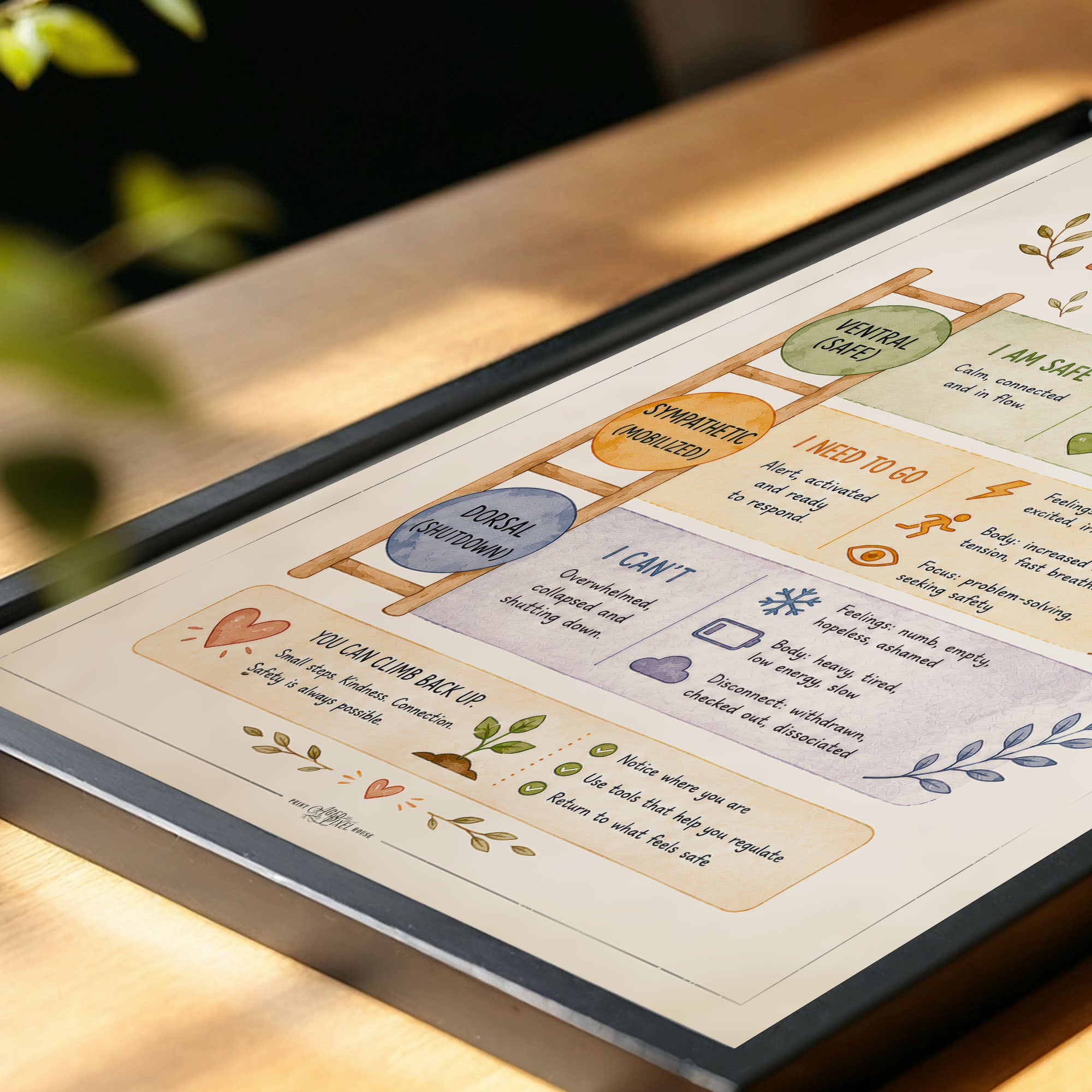 Polyvagal Ladder Poster Nervous System Regulation Chart