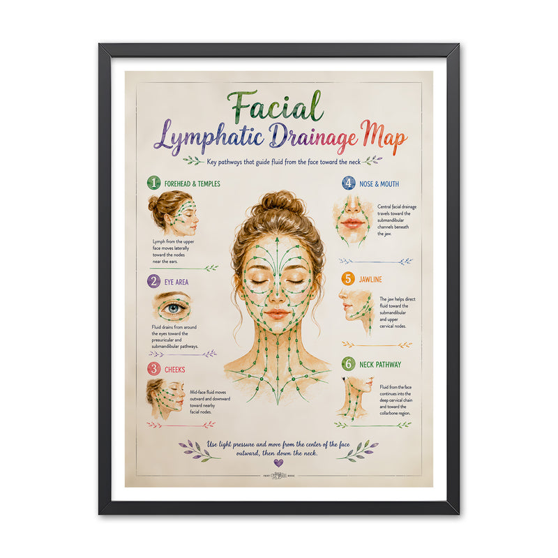 Watercolor facial lymphatic drainage map with a front-facing illustration and six callouts for forehead and temples, eye area, cheeks, nose and mouth, jawline, and neck pathway.