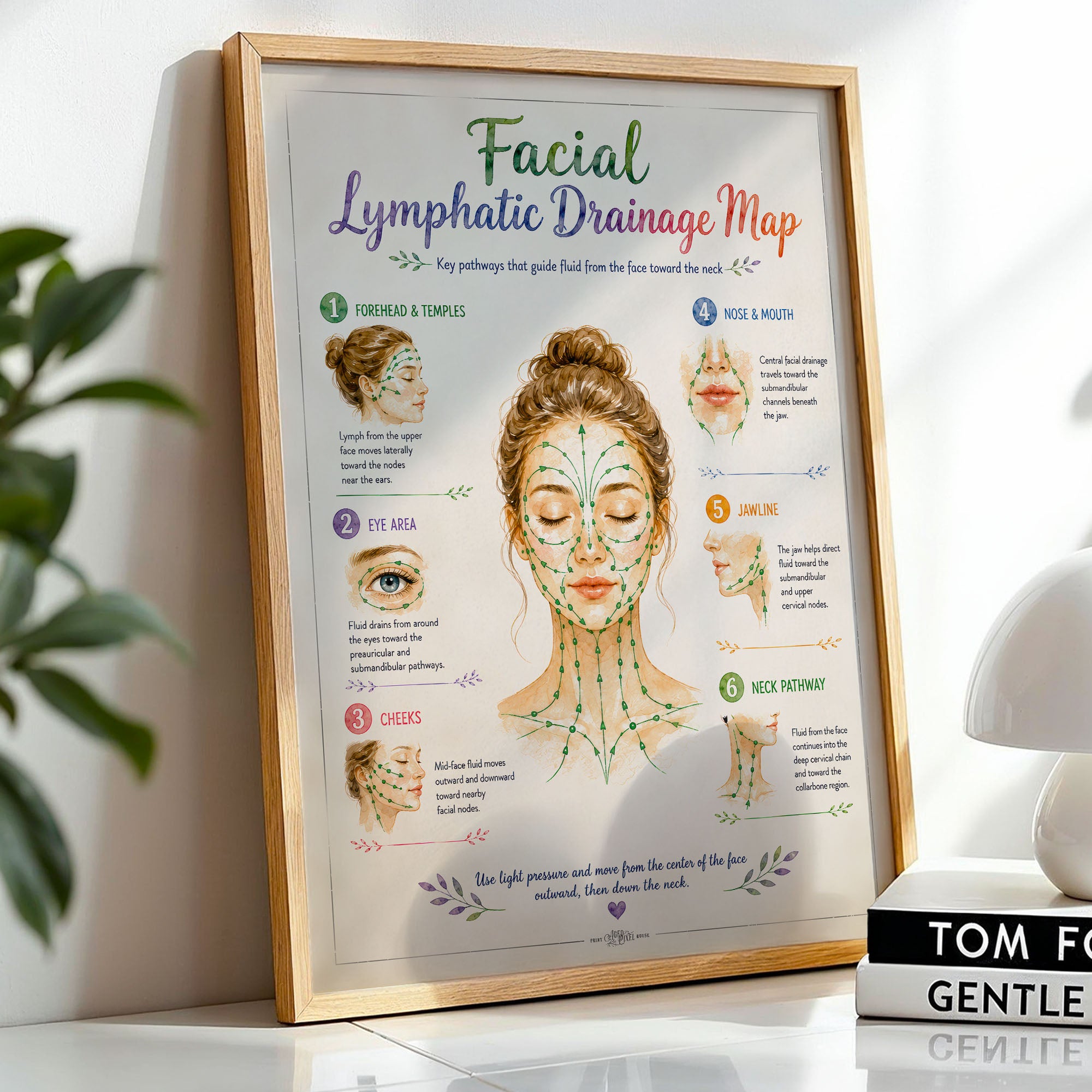 Facial Lymphatic Drainage Map Poster Face Lymph Flow Chart