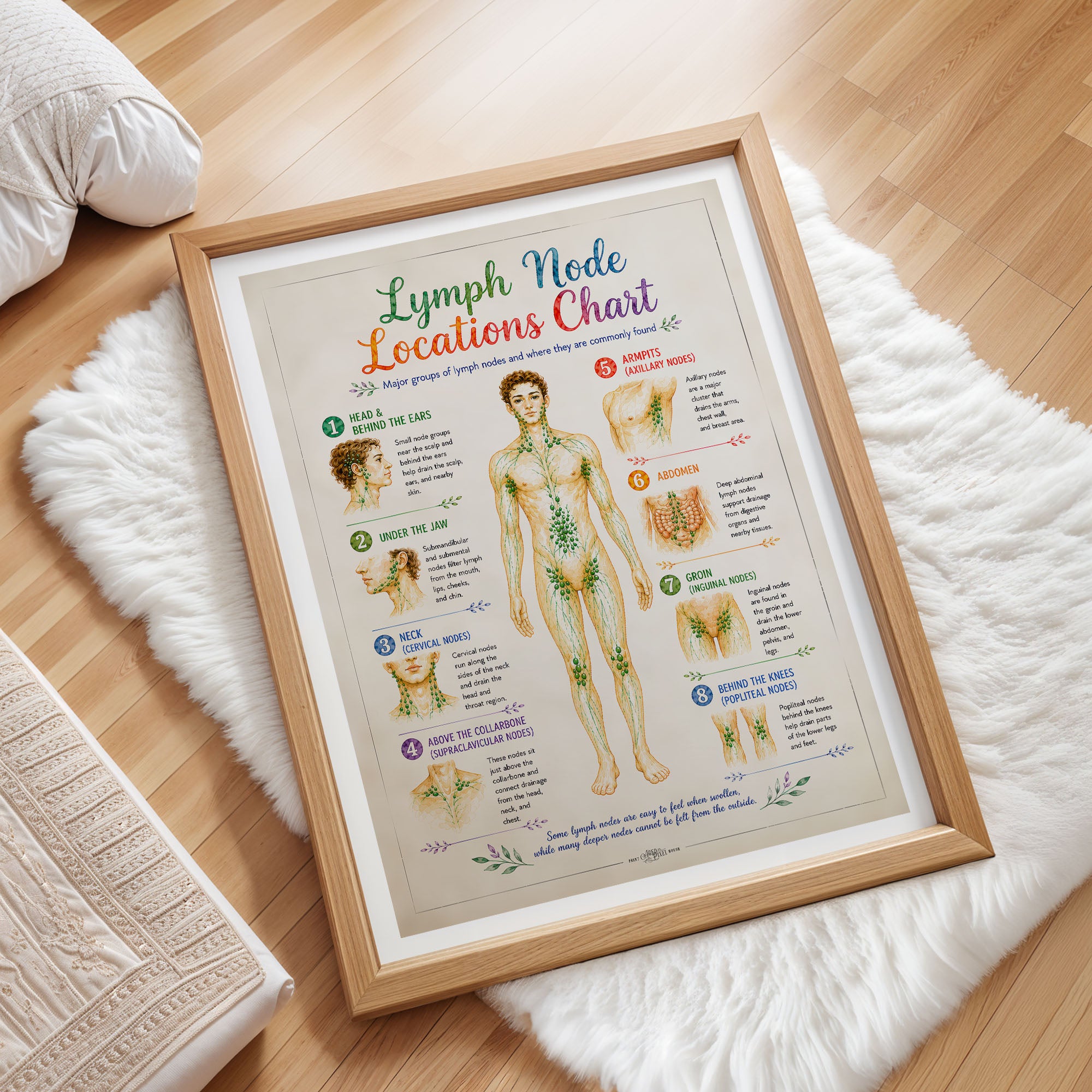 Lymph Node Locations Chart Poster Lymphatic System Anatomy Print