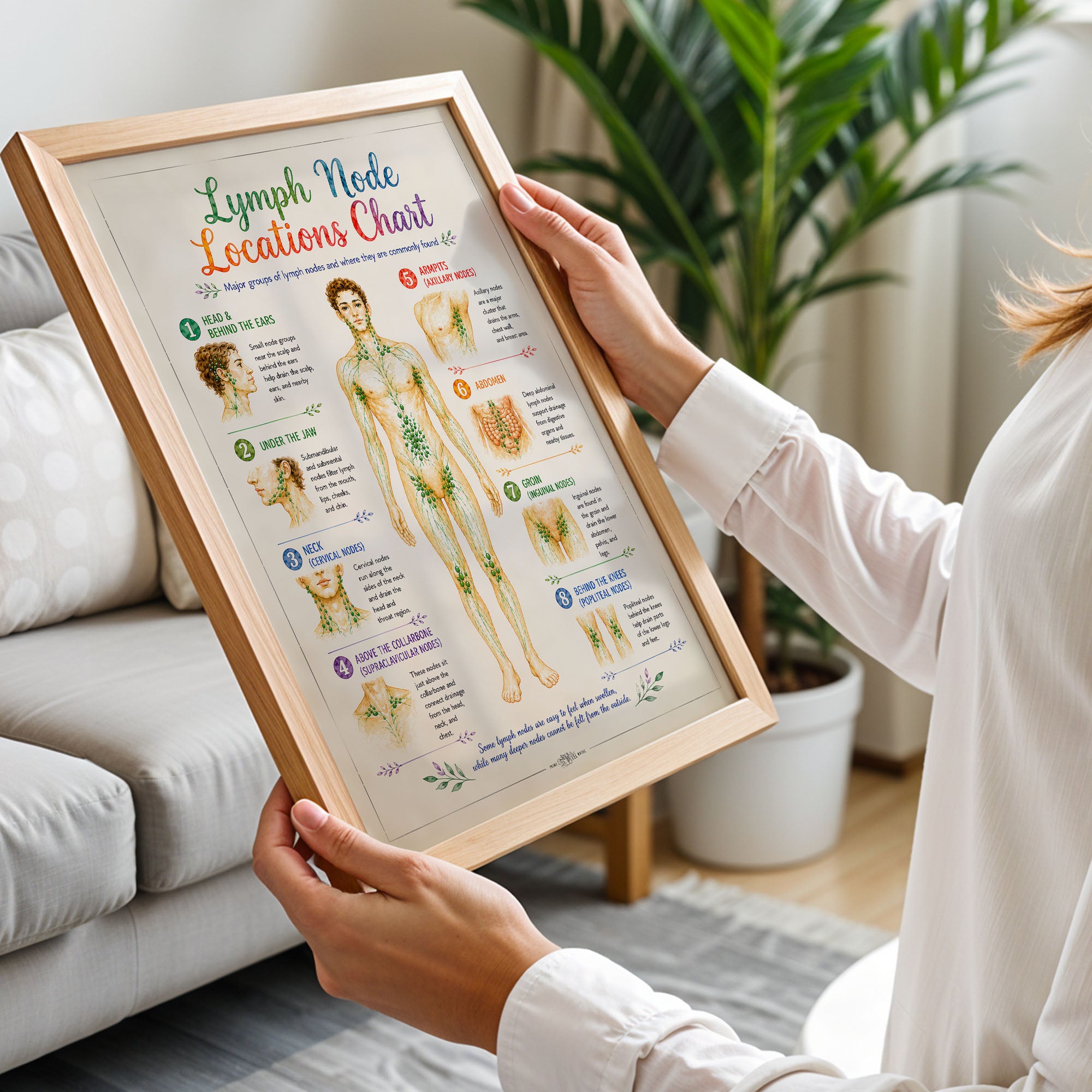 Lymph Node Locations Chart Poster Lymphatic System Anatomy Print