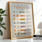 7 Stages of Grief Poster Counseling Office Education Chart