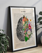Cerebrum Anatomy Print