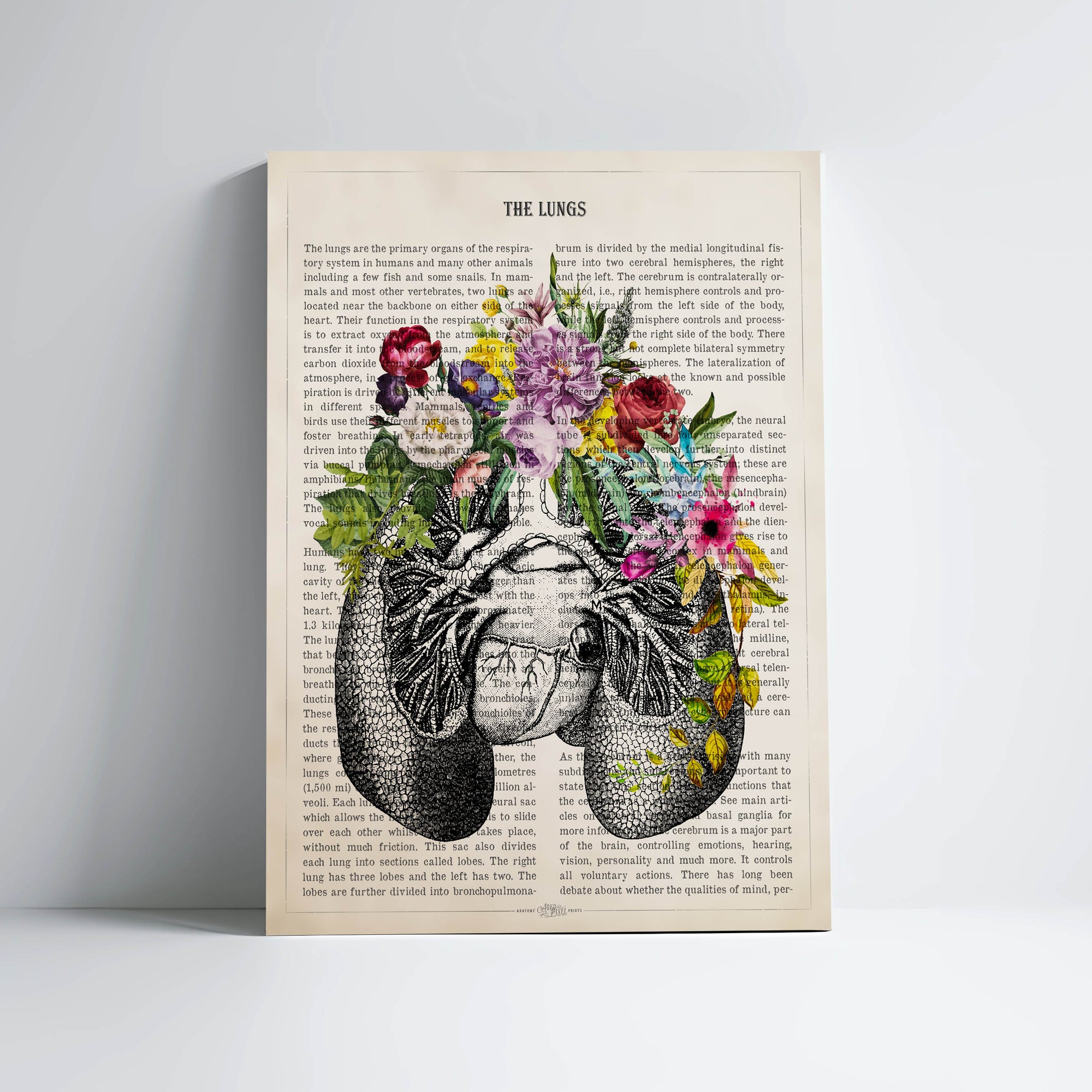 Lungs Anatomy with Flowers Print