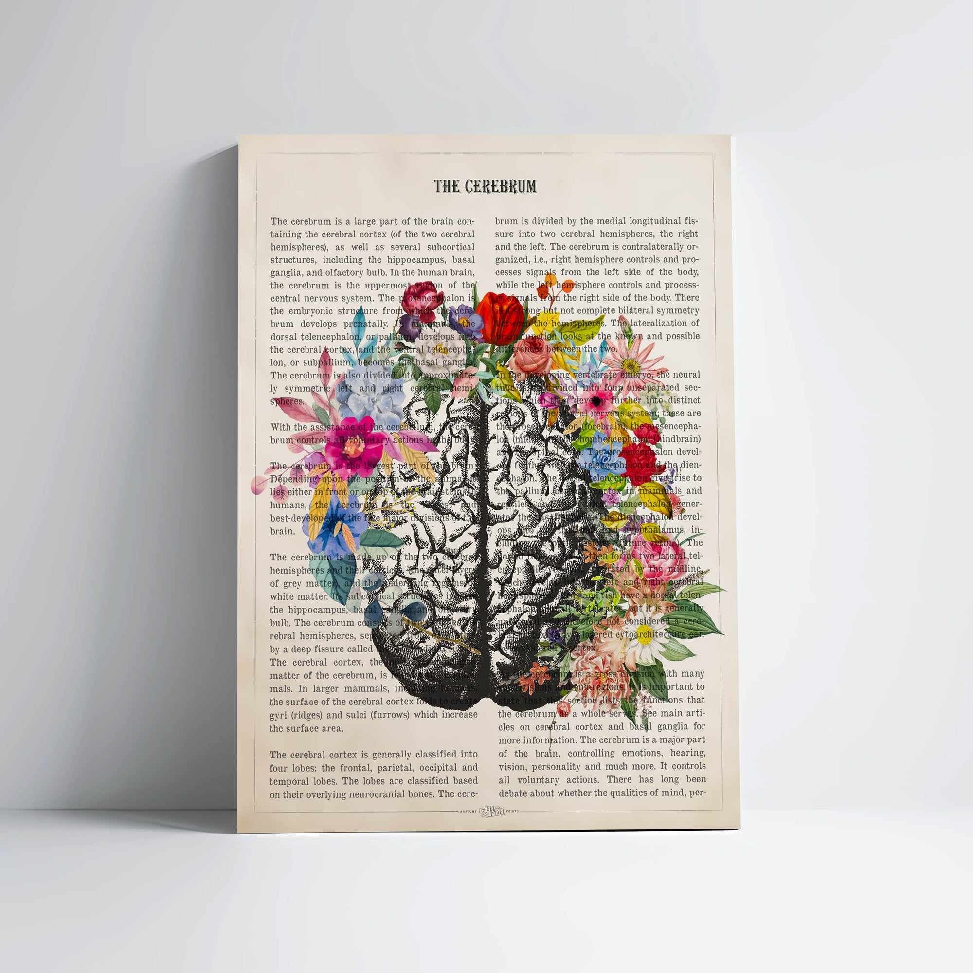 Cerebrum Anatomy With Flowers Print