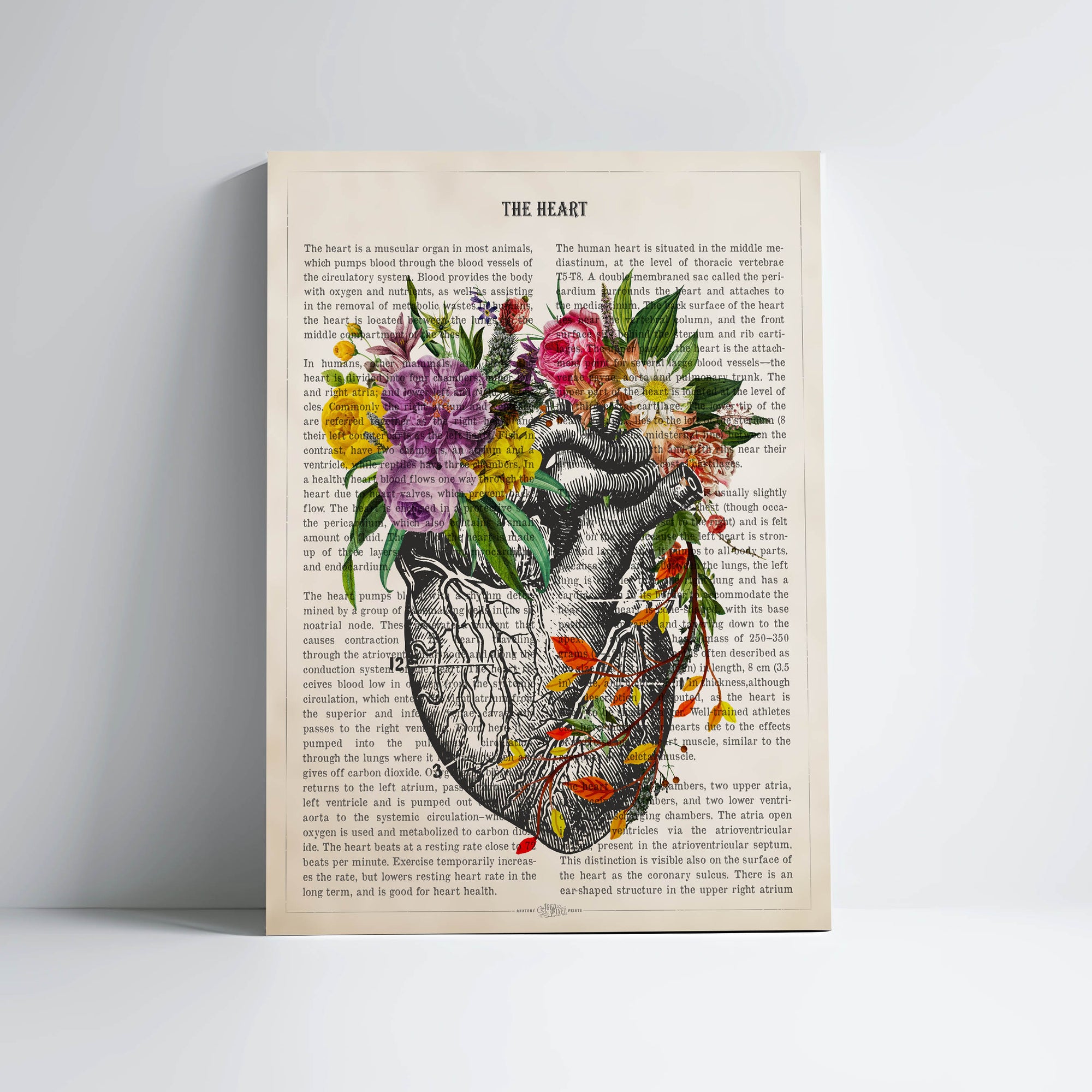 Heart Anatomy With Flowers Print