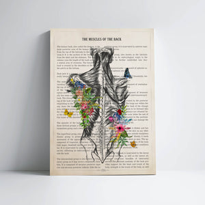 Muscles of the Back Anatomy with Flowers Print