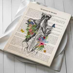 Muscles of the Back Anatomy with Flowers Print