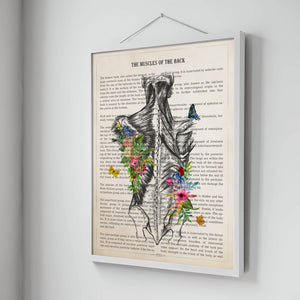 Muscles of the Back Anatomy with Flowers Print