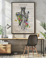 Muscles of the Back  Anatomy Print