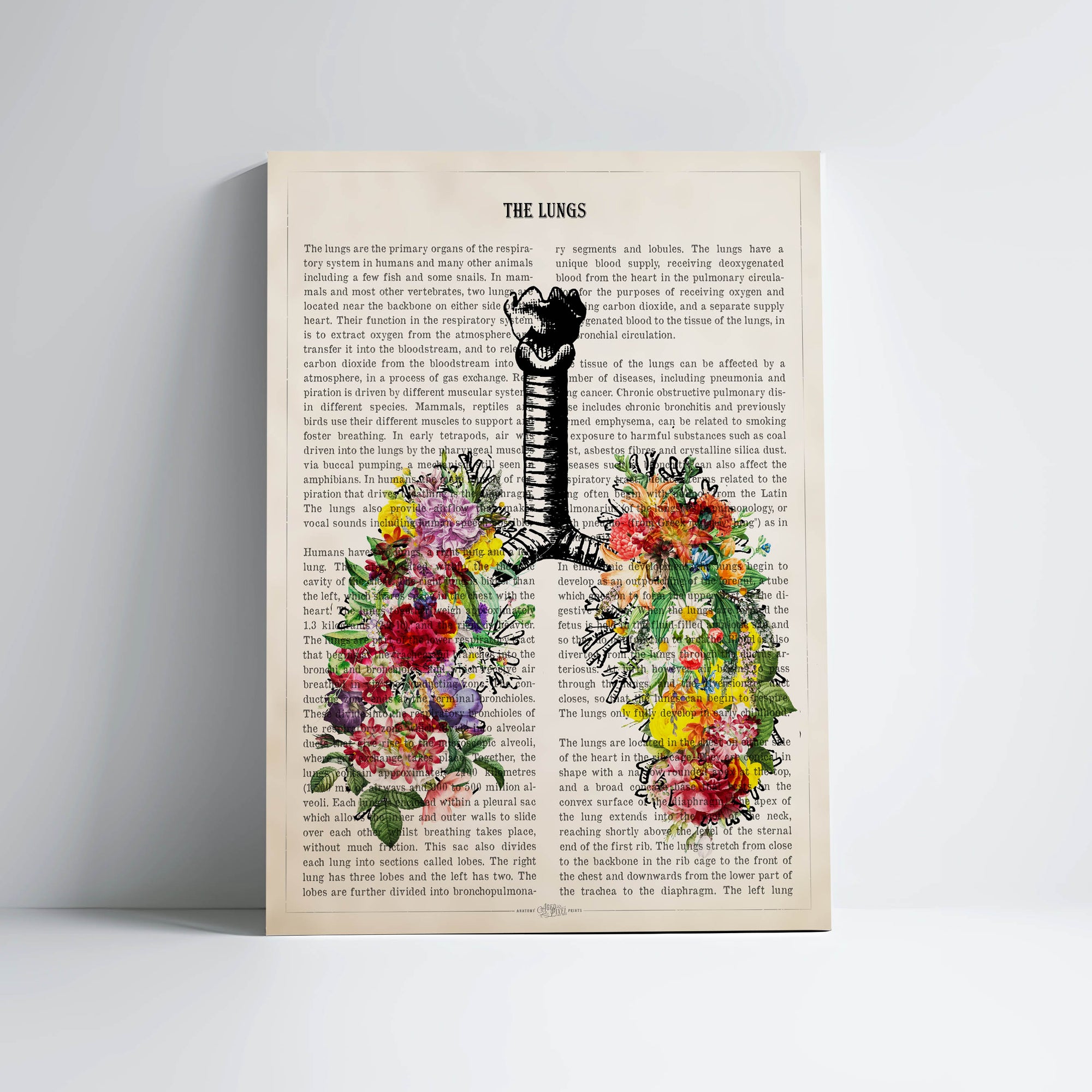 Lungs Anatomy With Flowers Print