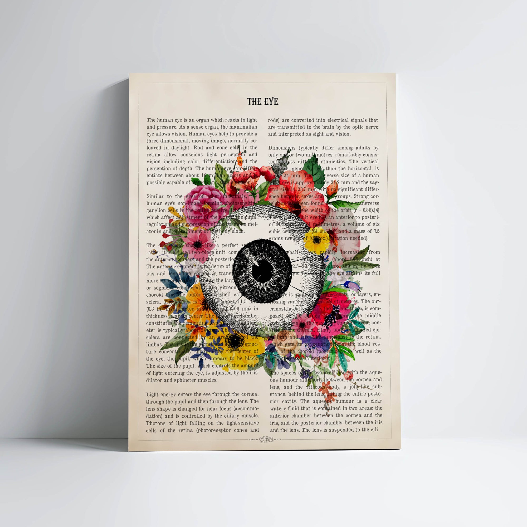 Eye Anatomy With Flowers Print