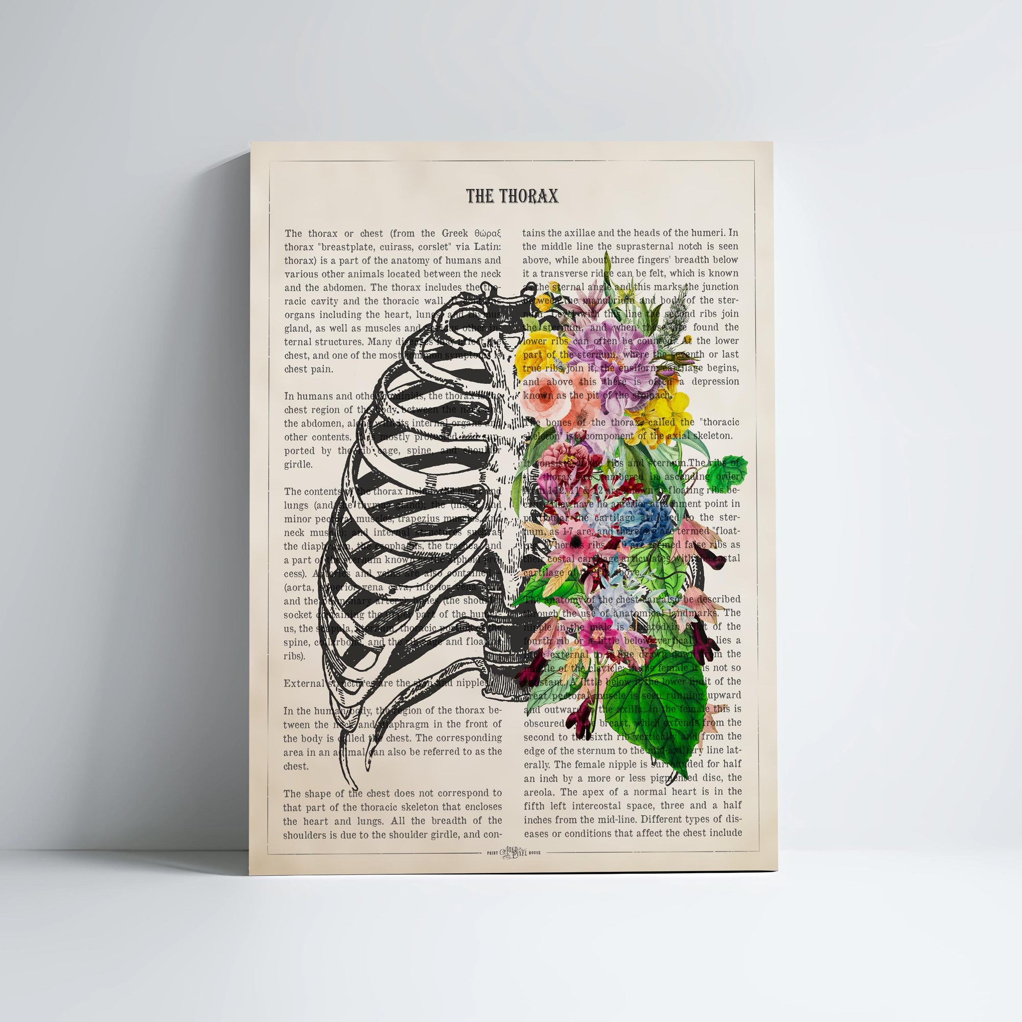 Thorax Anatomy With Flowers Print